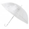Transparent Umbrellas